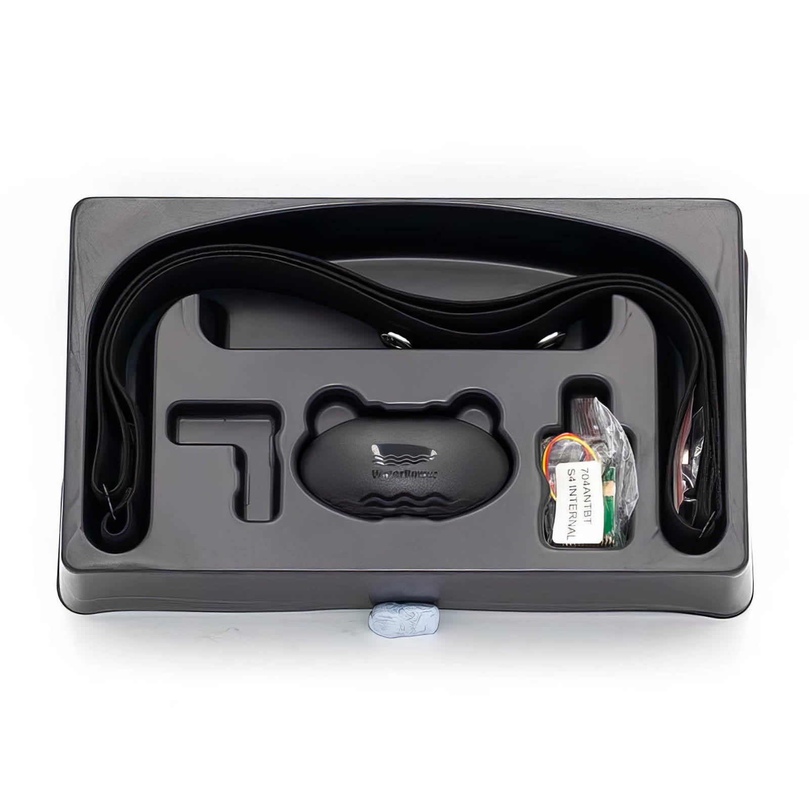 Heart Rate monitor, Internal, ANT+ - Woodsport